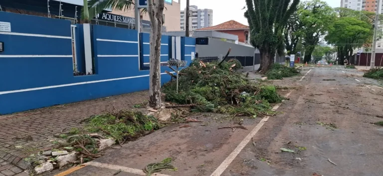 Imagem de destaque para matéria apagao-no-parana-passa-de-24h-apos-temporal-destruir-quase-300-postes