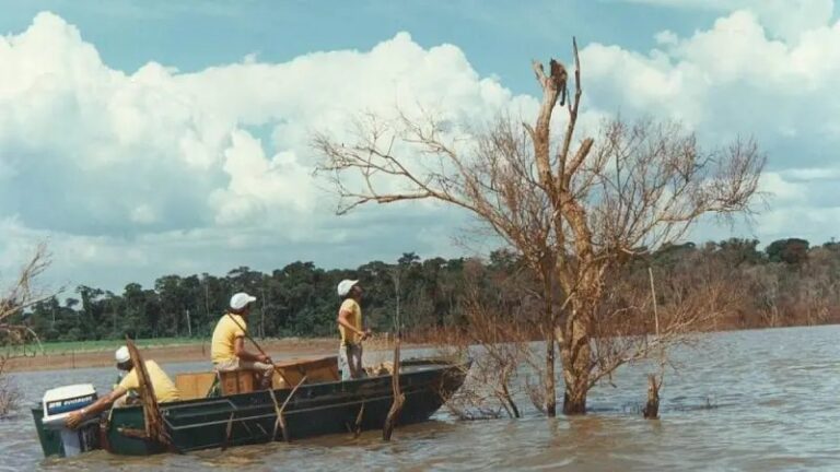 Imagem de destaque para matéria itaipu-o-resgate-de-39-mil-animais-que-blindou-o-ativo-energetico-do-pr