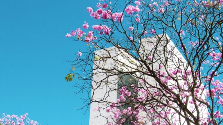 Imagem de destaque para matéria primavera-com-el-nino-traz-calor-extremo-e-risco-de-temporais-a-curitiba