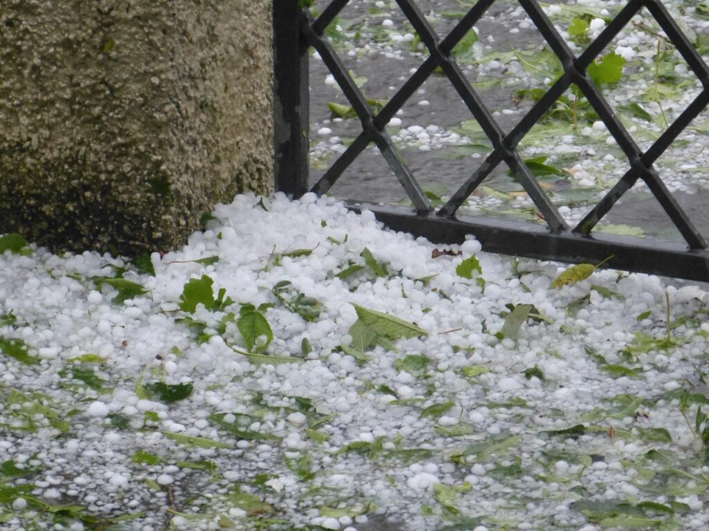 Granizo branco acumulado no chão entre folhas verdes, junto a um muro e uma grade de ferro