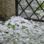 Granizo branco acumulado no chão entre folhas verdes, junto a um muro e uma grade de ferro