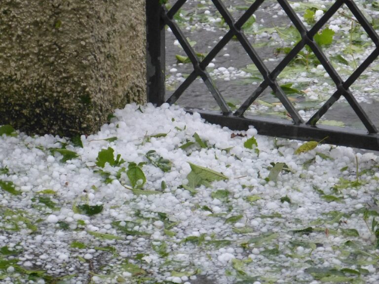 Granizo branco acumulado no chão entre folhas verdes, junto a um muro e uma grade de ferro
